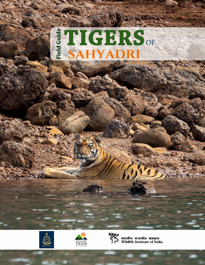 The Field Guide to Tigers of Sahyadri